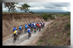 Guanaride08